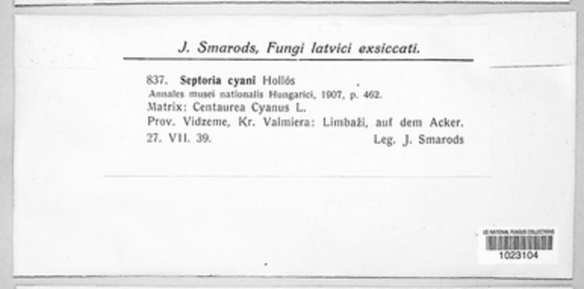 Septoria cyani image